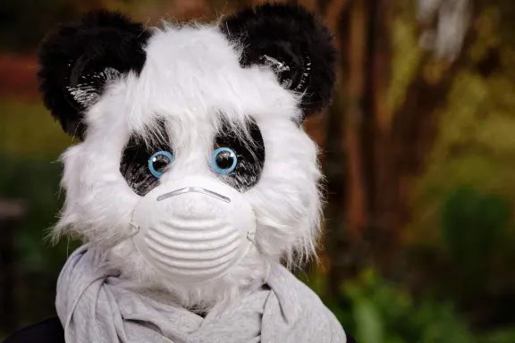 دبليواياستي كازينو الدعم